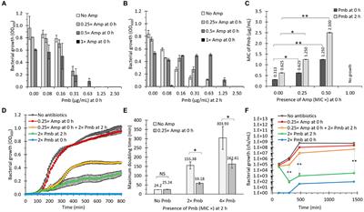 β-lactam-induced OMV release promotes polymyxin tolerance in Salmonella enterica sv. Typhi